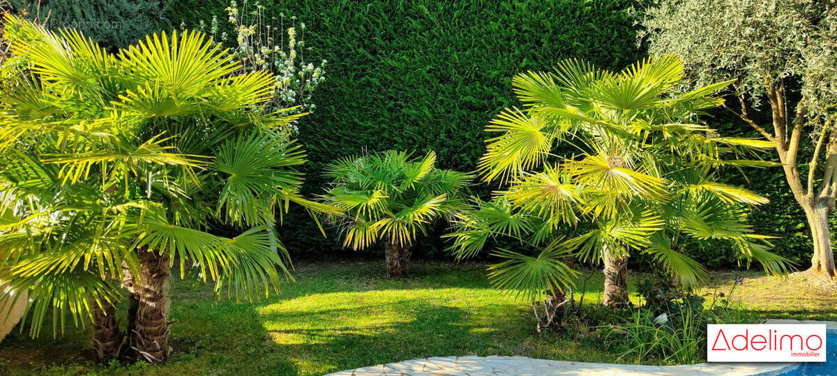 Maison à VAISON-LA-ROMAINE