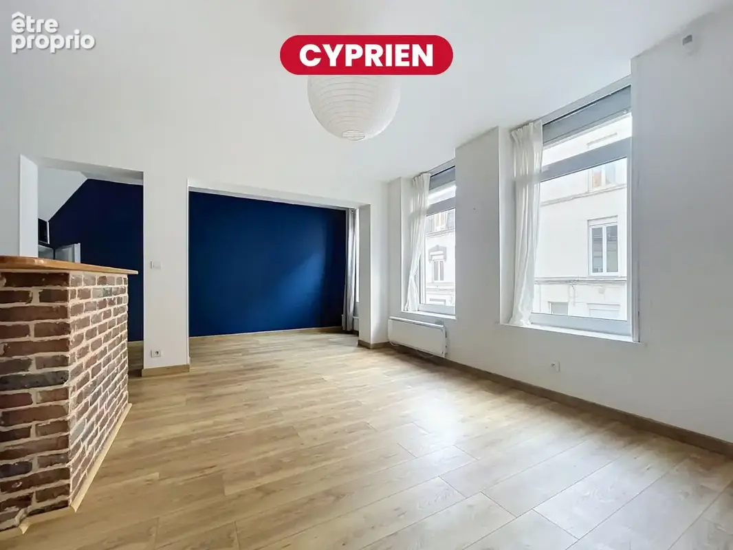 Appartement 50m² à lille - photo 2