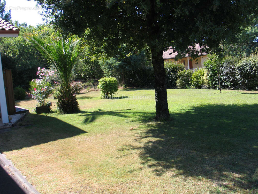 Maison à SANGUINET