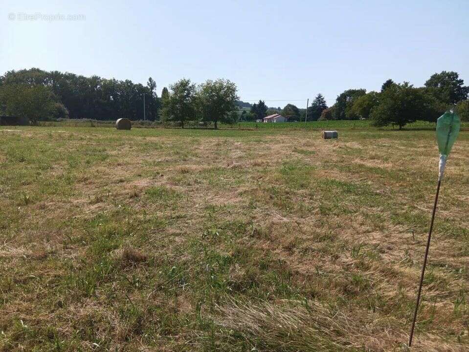 Terrain à LABASTIDE-VILLEFRANCHE