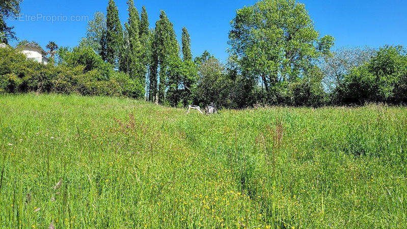 3.jpg - Terrain à OLORON-SAINTE-MARIE