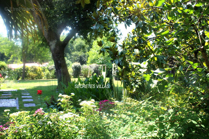 Maison à SAINT-SULPICE-ET-CAMEYRAC