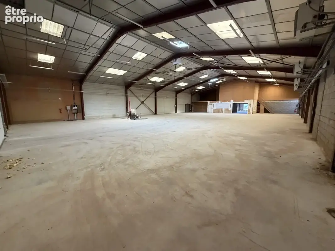 Commerce 3 377 m² à vendre à Beaulieu-Sur-Loire (45630) - photo 3