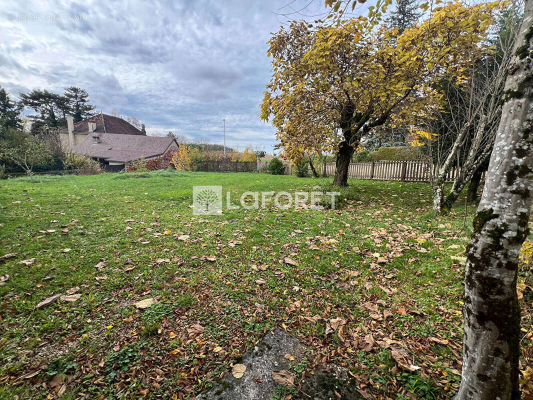 Maison à MESSIA-SUR-SORNE