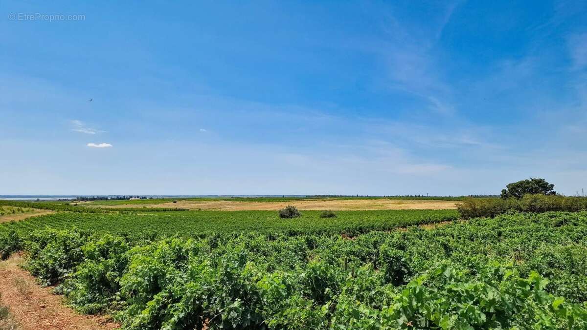 Mas d’exception au cœur des vignes — gallician, proche de vauvert - photo 6