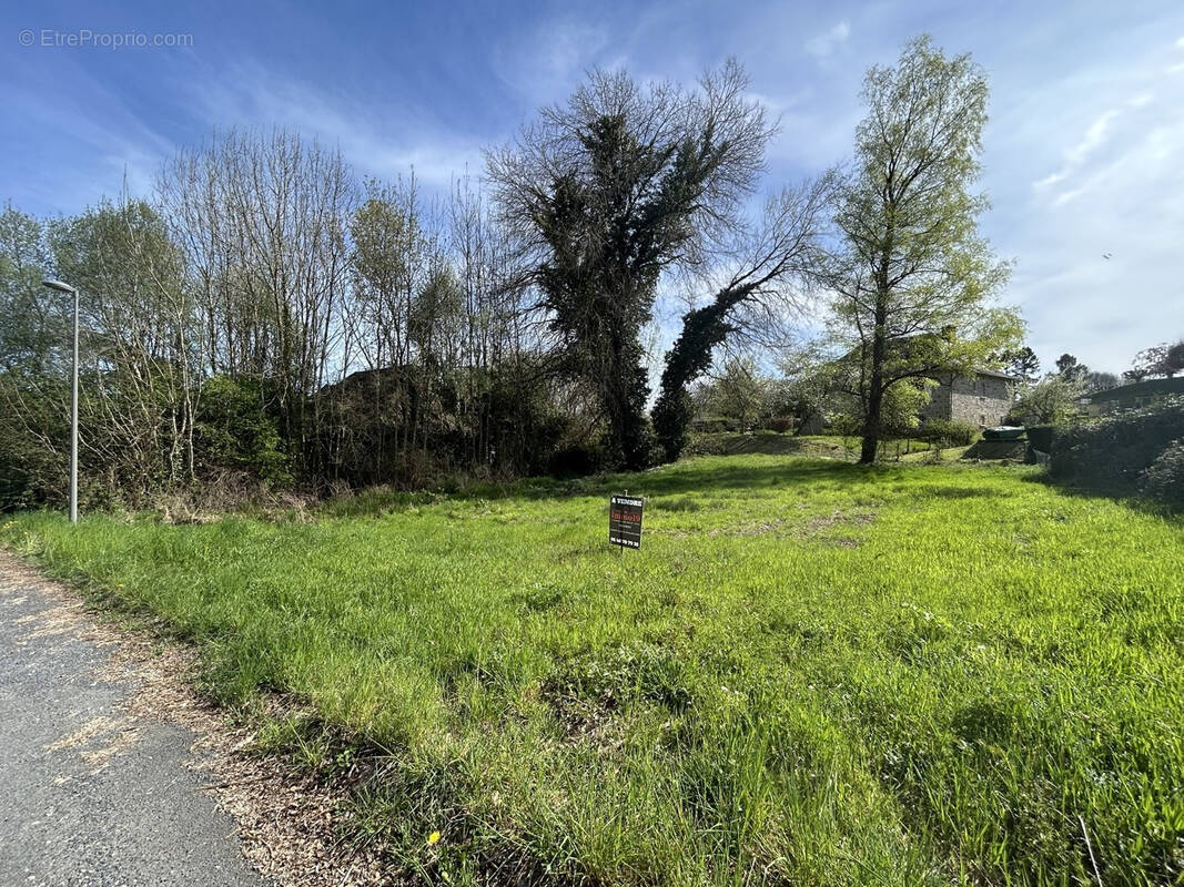 Terrain à LAGRAULIERE