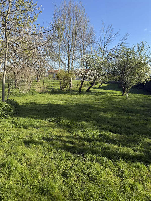 Maison à SUIPPES