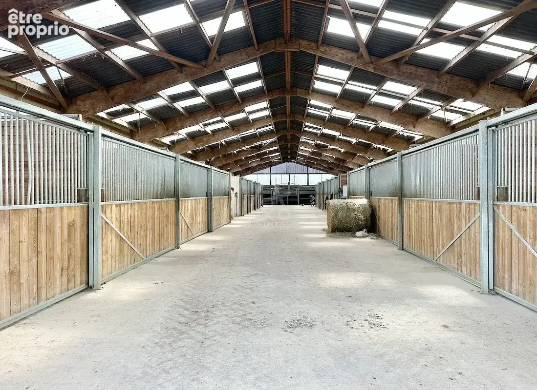 Haras d'Entraînement de Courses sur 28 Hectares   Cadre Exceptionnel - photo 2
