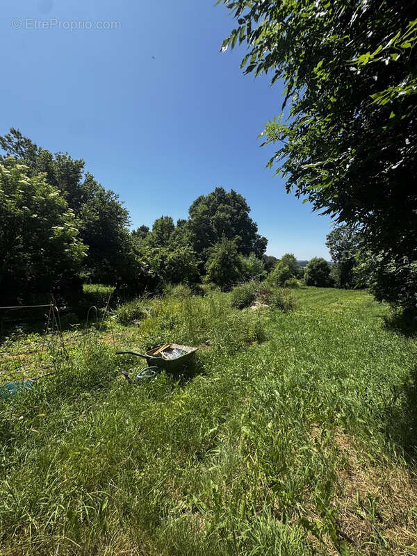 Maison à SALLES-CURAN