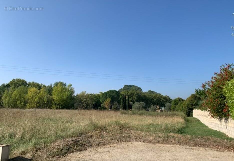 Terrain à SERVIERS-ET-LABAUME