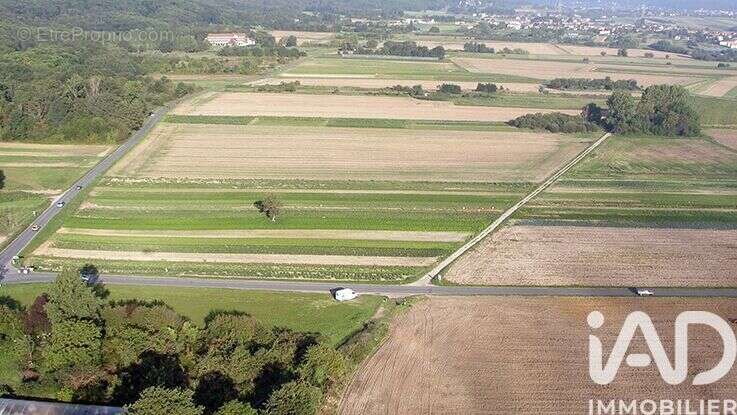 Photo 5 - Terrain à SAULX-LES-CHARTREUX