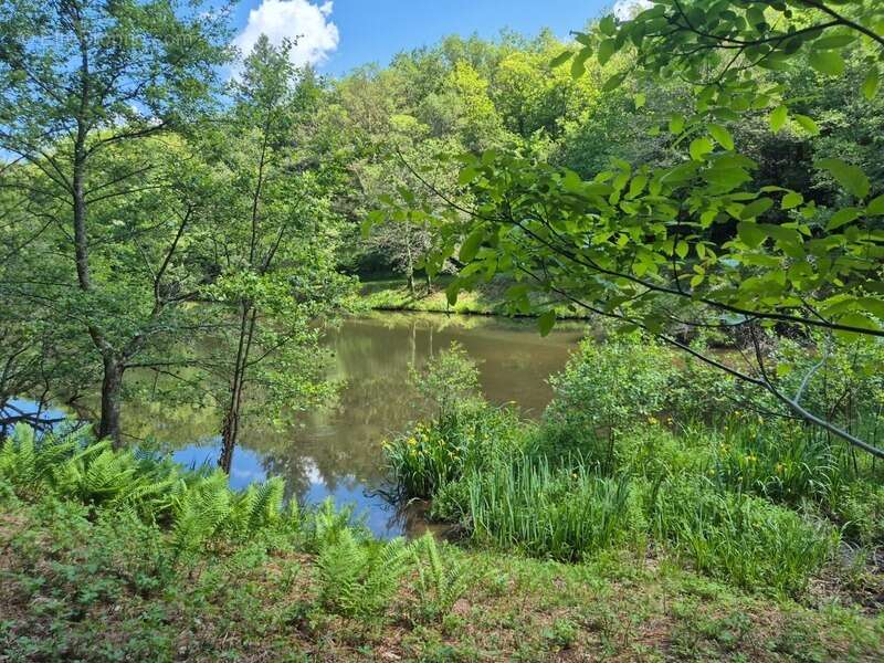 Terrain à PRESSIGNAC