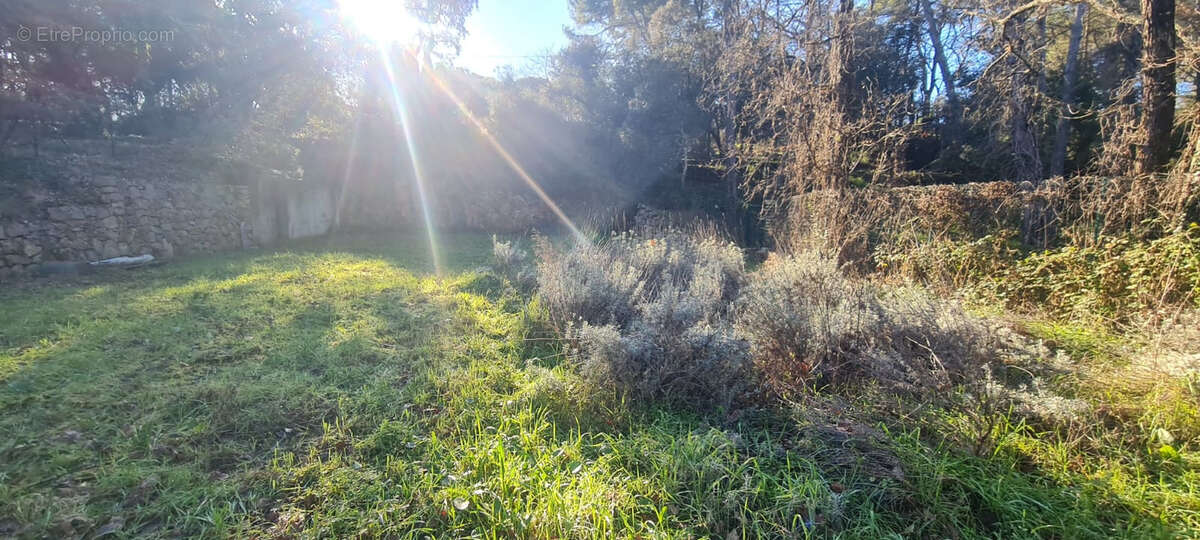 Terrain à LORGUES