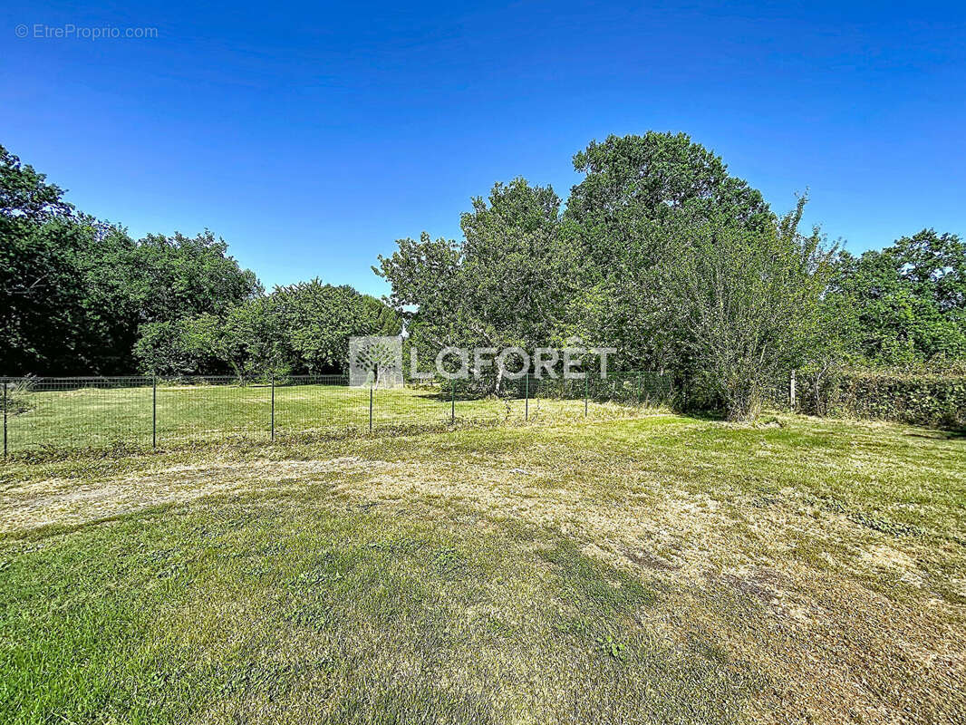 Maison Lafrancaise 5 pièces environ 115.68 m2 - 3604m² de terrain - double garage - photo 6