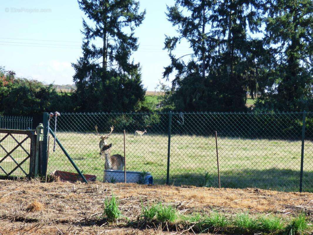 Maison à CHATEAUNEUF-EN-THYMERAIS