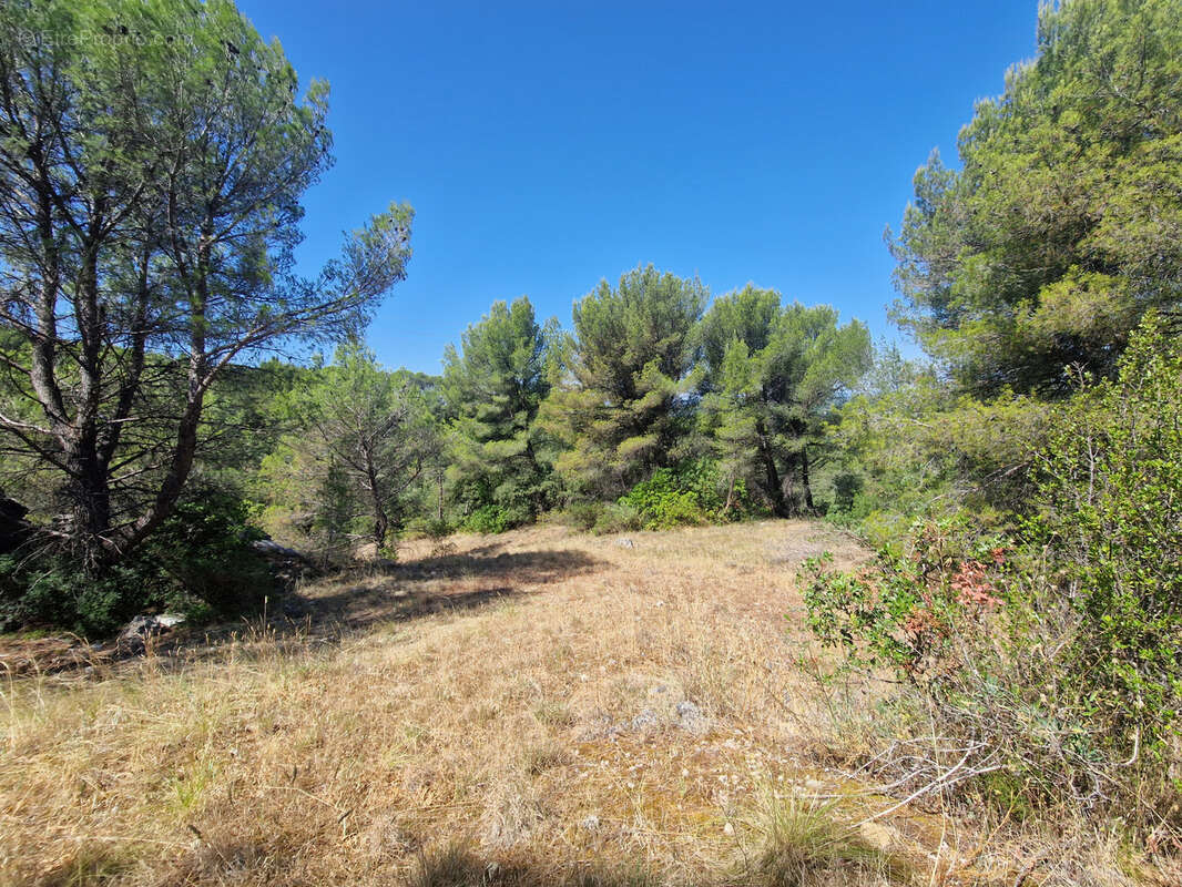 Terrain à CAVAILLON