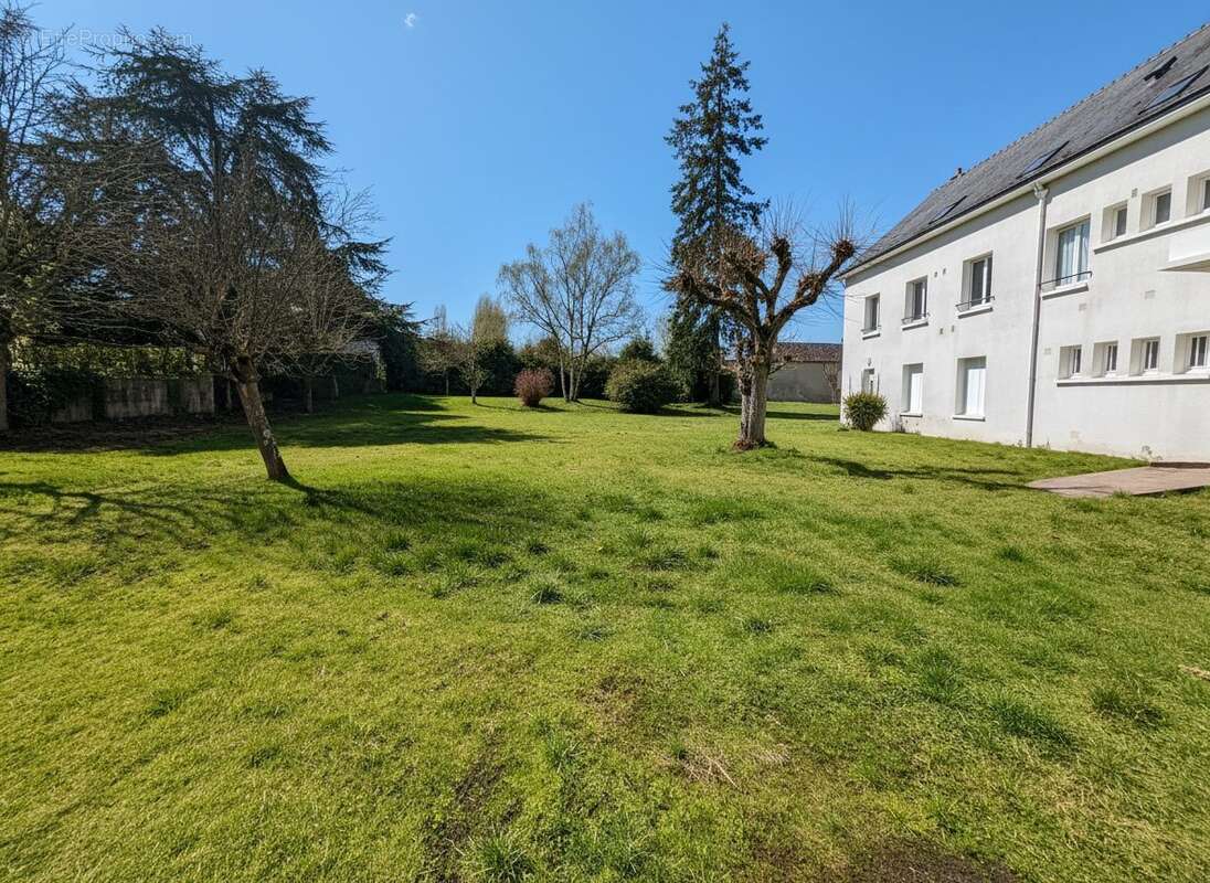 Appartement à CHATEAU-RENAULT