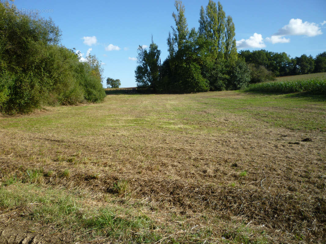 Terrain de loisir - photo 14