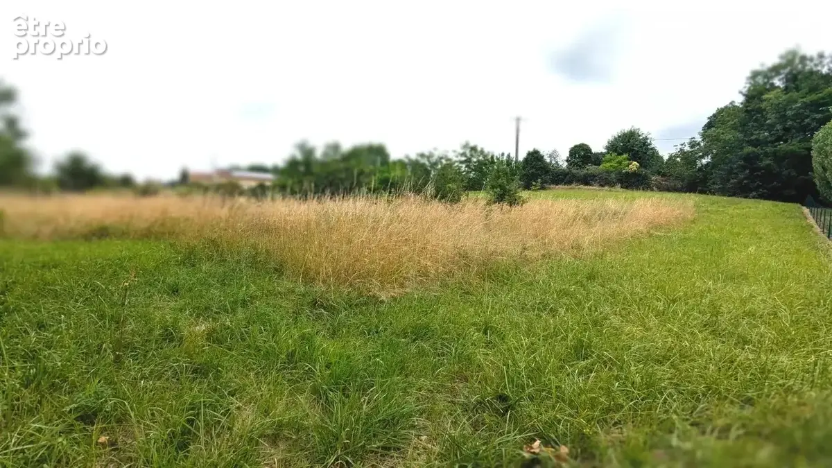 La photo montre un champ avec de l'herbe haute et des arbres en arrière-plan sous un ciel nuageux.
