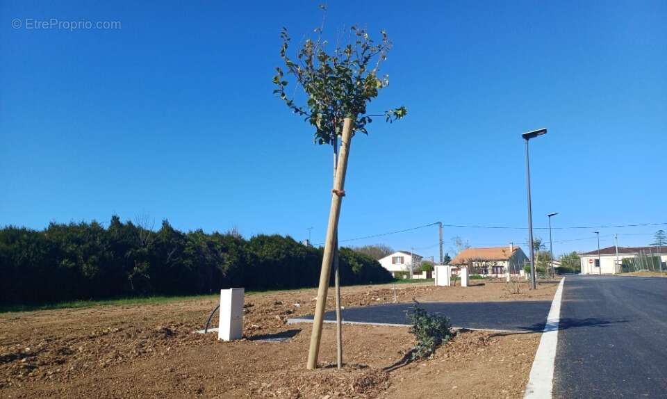 Terrain à SAINT-YRIEIX-SUR-CHARENTE