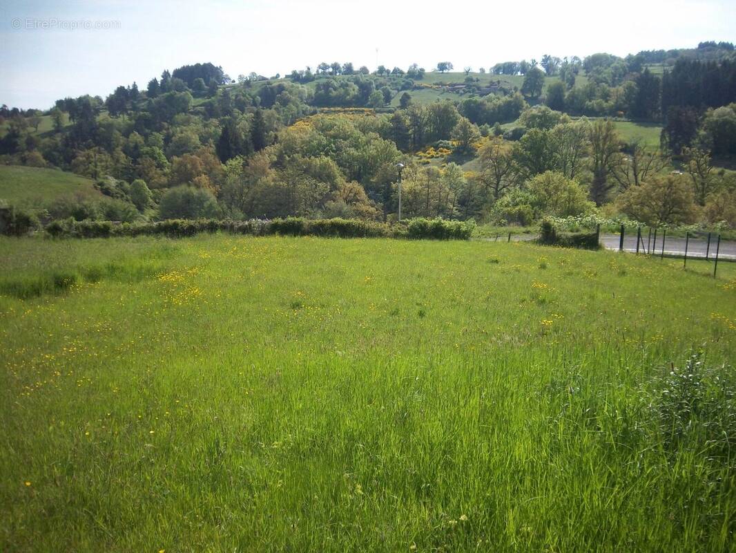 Terrain à SAINT-DIER-D'AUVERGNE