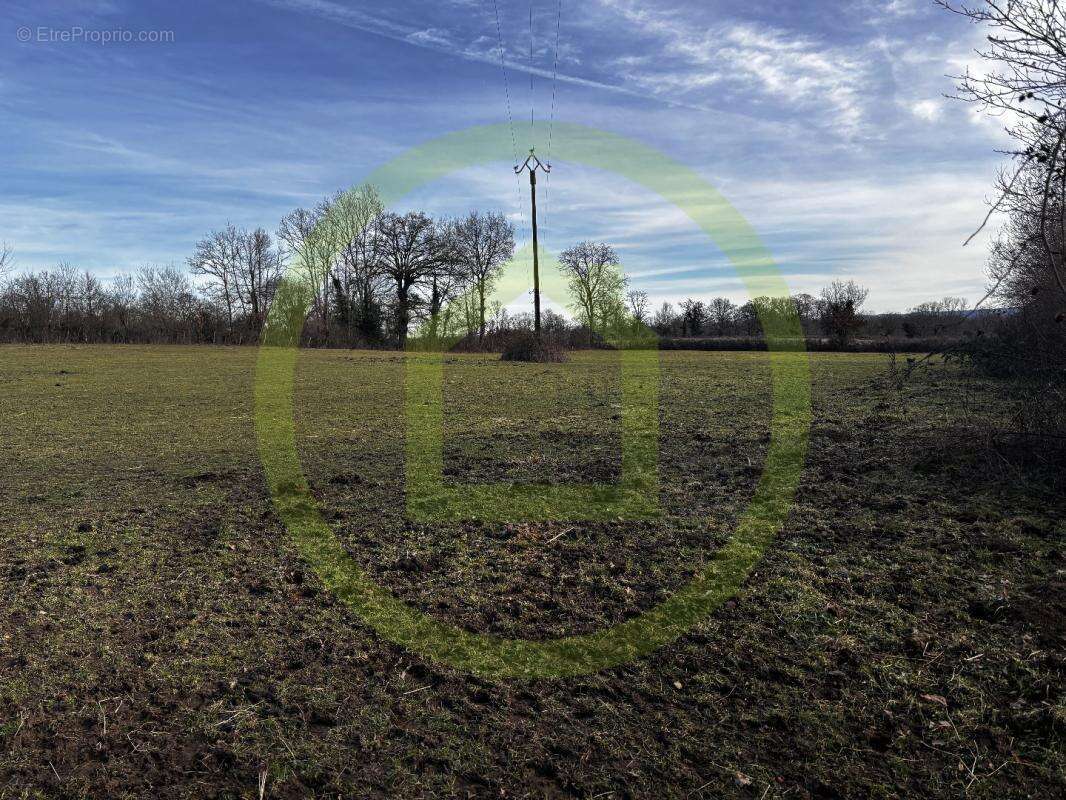 Propriété - photo 20