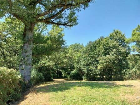 Maison à GENOUILLAC