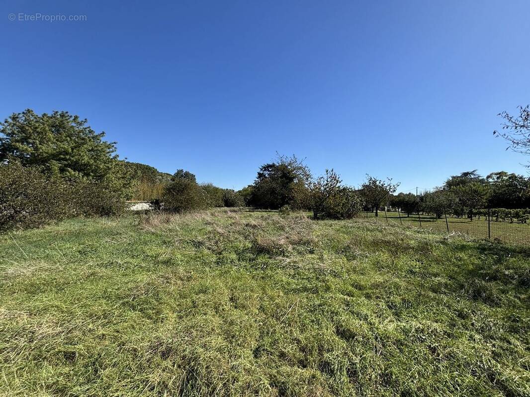 Terrain à TOULOUSE