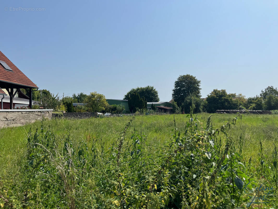 Terrain à SAASENHEIM