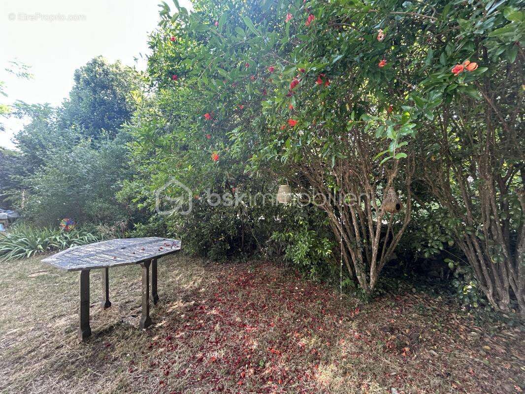 Maison à CAUSSE-DE-LA-SELLE