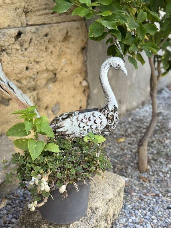 Maison à SALON-DE-PROVENCE