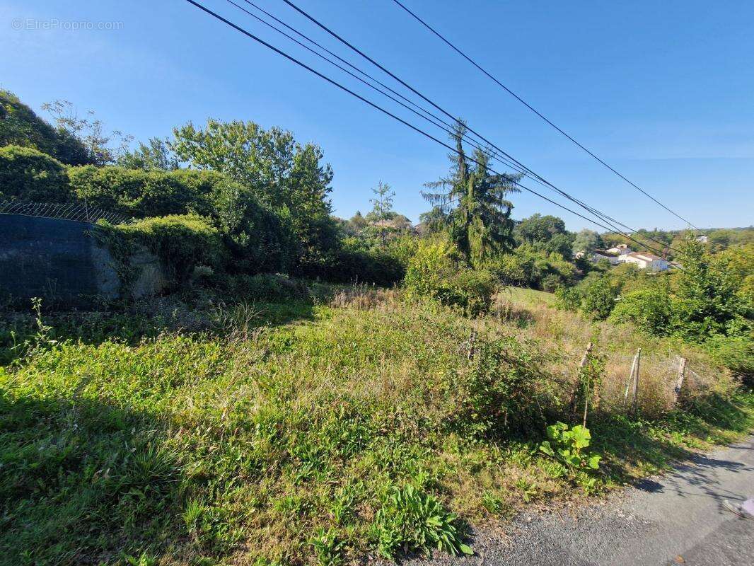 Terrain à BEAUREGARD-DE-TERRASSON