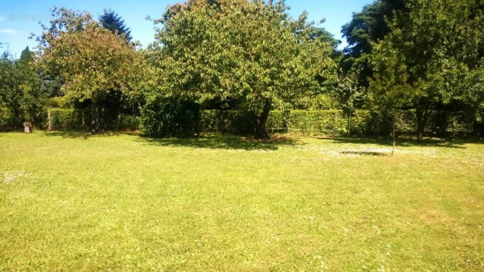 Terrain à BEAUTIRAN