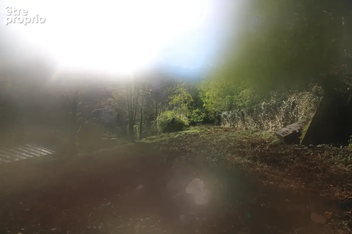 MAS 360 de volume + 25 hectares. - photo 120