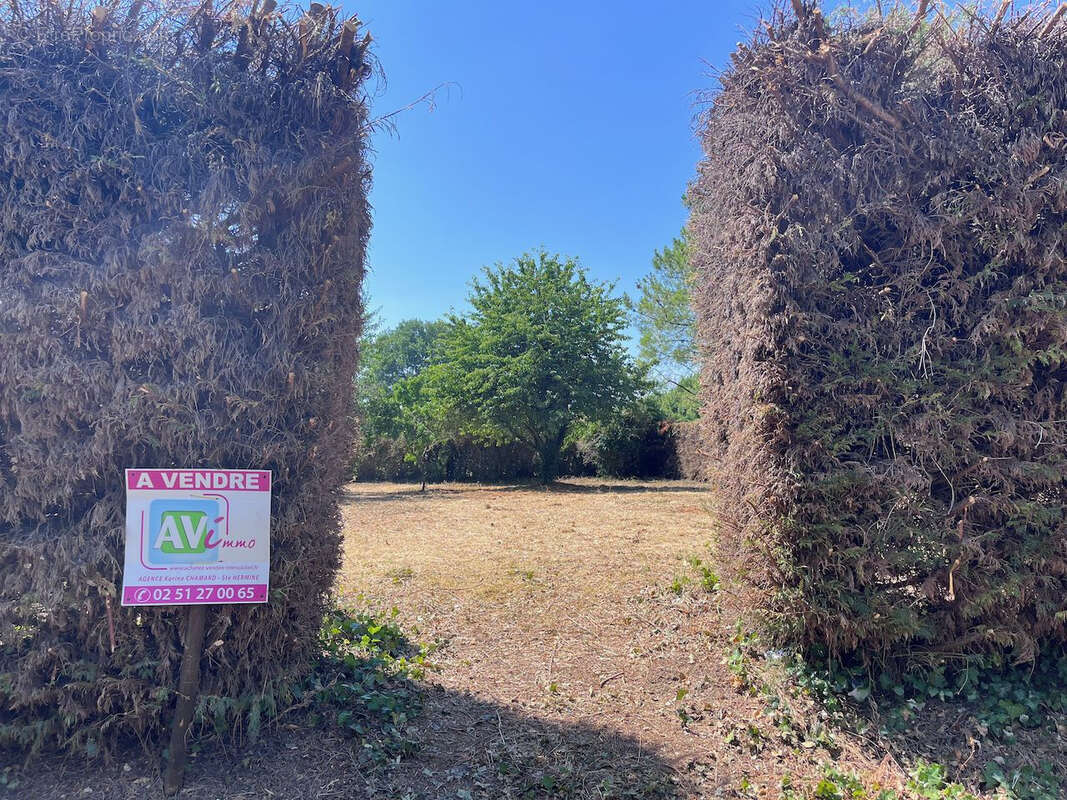 Terrain à SAINT-ETIENNE-DE-BRILLOUET