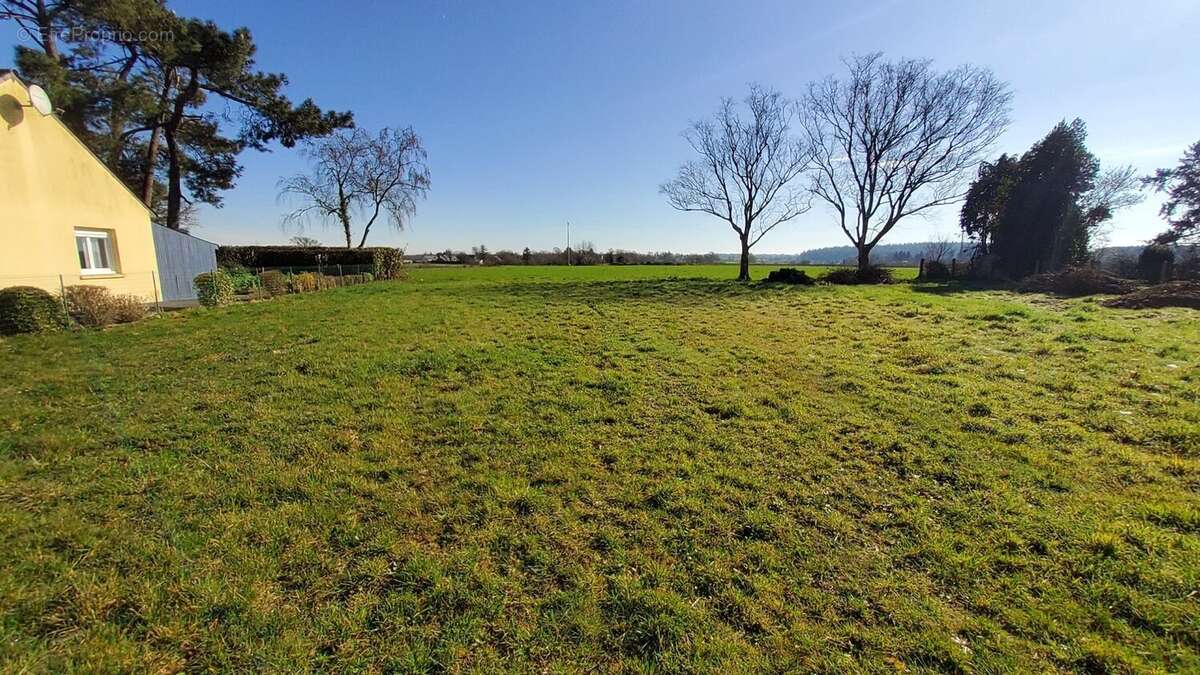 Terrain à SAINT-GANTON
