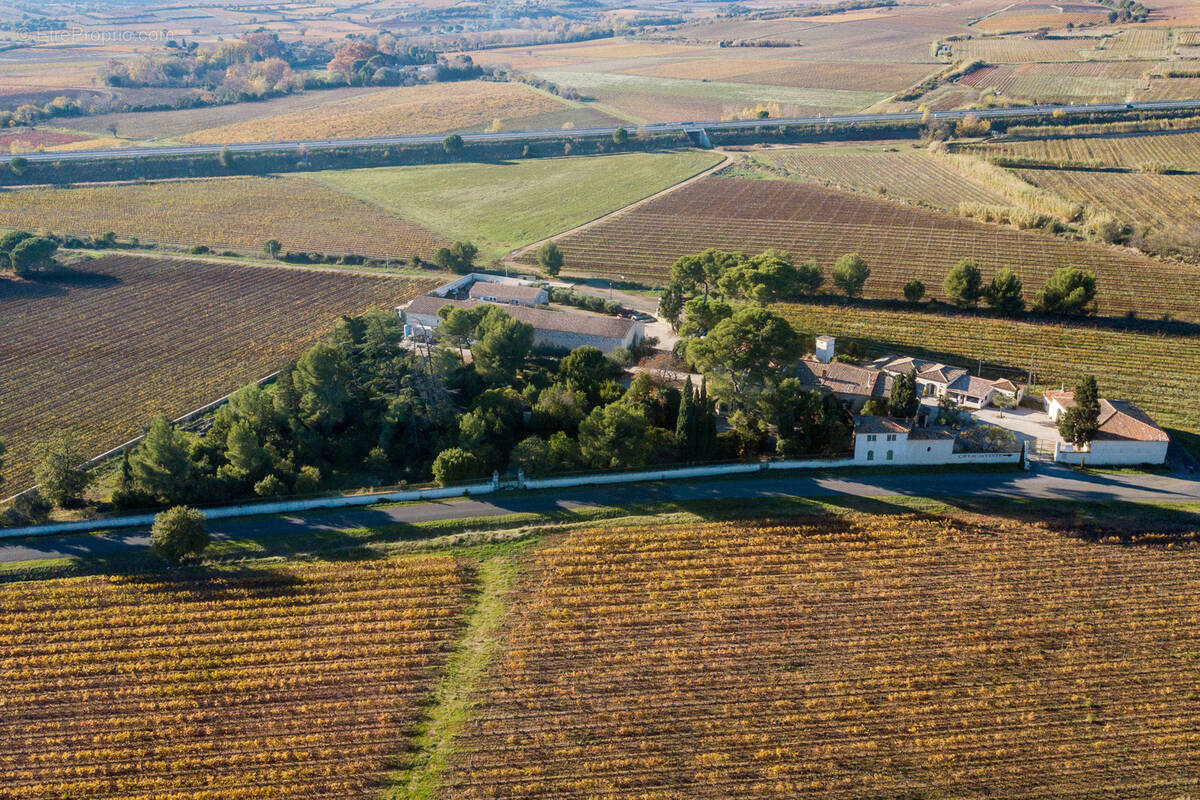 Maison à MONTPELLIER