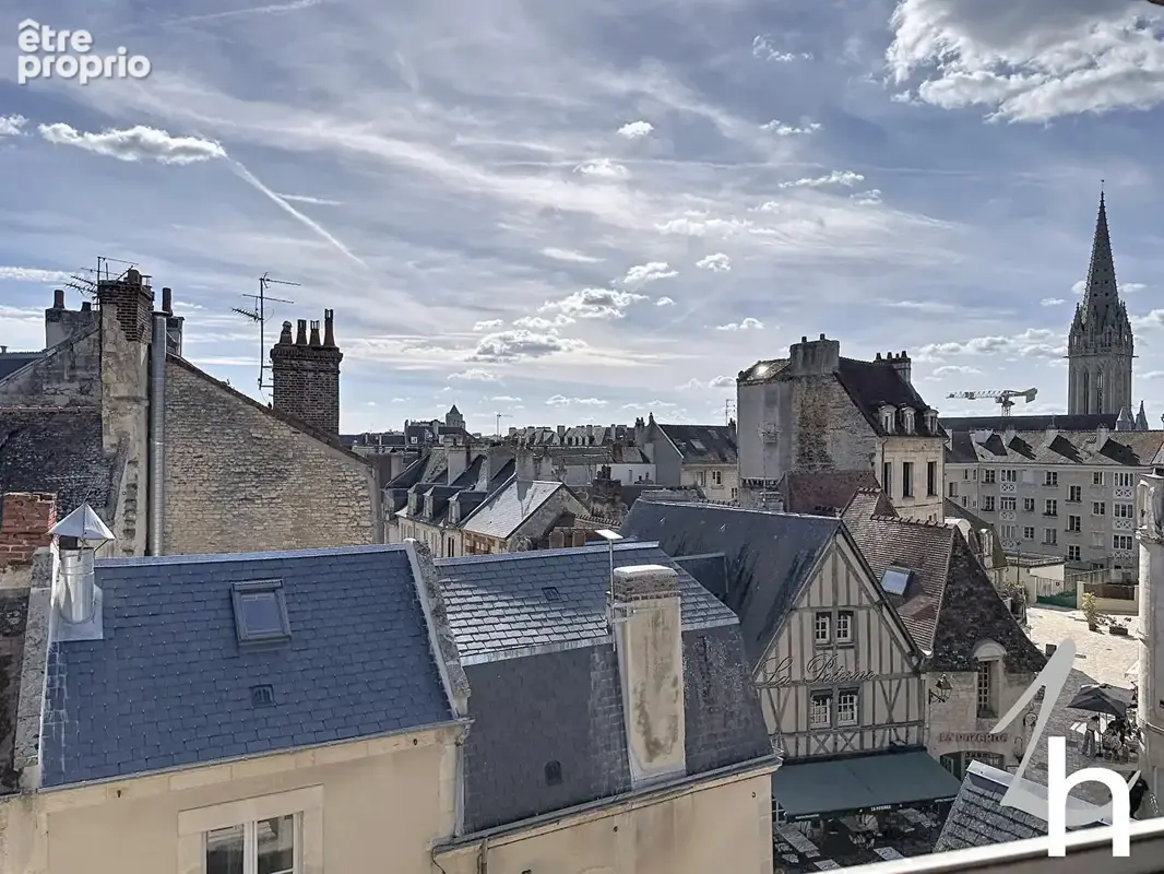 Coup de coeur ancien - atypique - terrasse  20m2 - 4 chambres - cave - photo 13