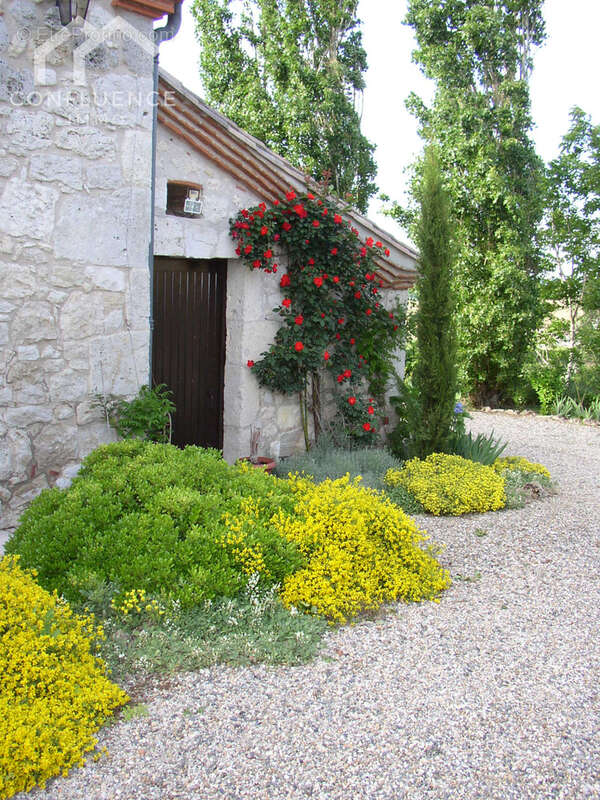 Maison à DAMAZAN