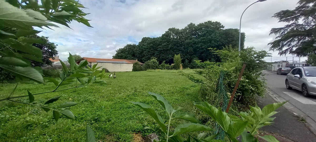 Terrain à VIC-EN-BIGORRE