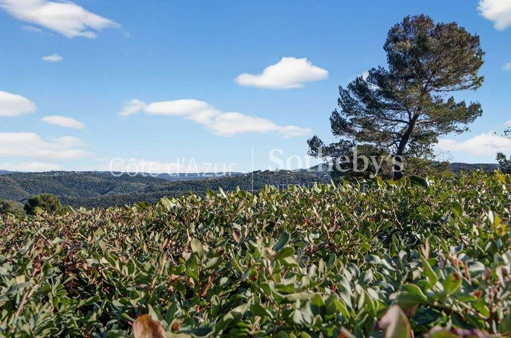 Maison à MONTAUROUX