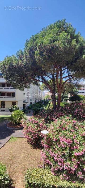 superbe T2 traversant de 49 m2 avec terrasse plage et port a 200 M - photo 5
