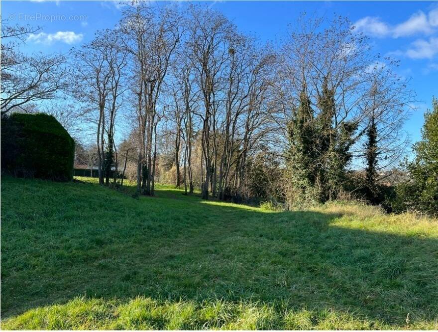 Terrain à MONTLOUIS-SUR-LOIRE