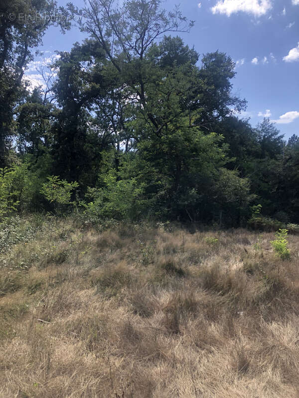 Maison à LERM-ET-MUSSET