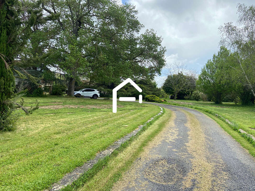 Terrain à SAINT-HILAIRE