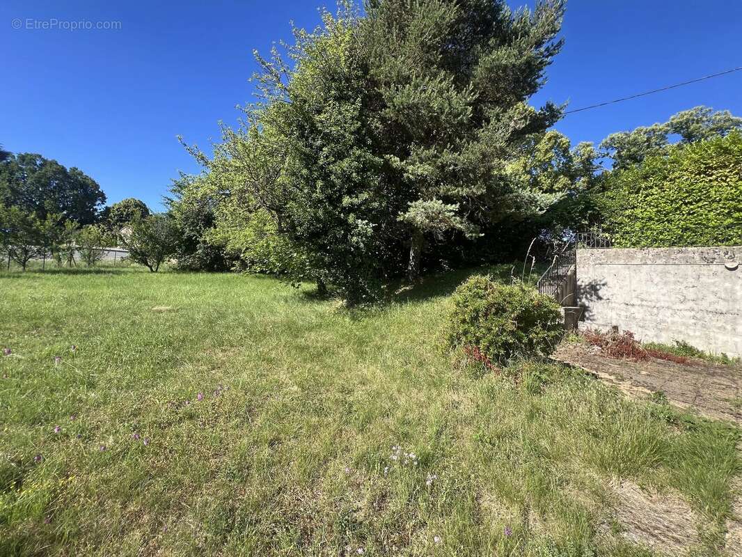 Revest du Bion, maison à rénover roche village avec grand jardin - photo 7