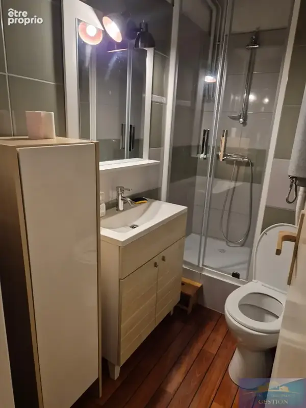 Studio centre ville / 21 m2 / vue montagne - photo 15