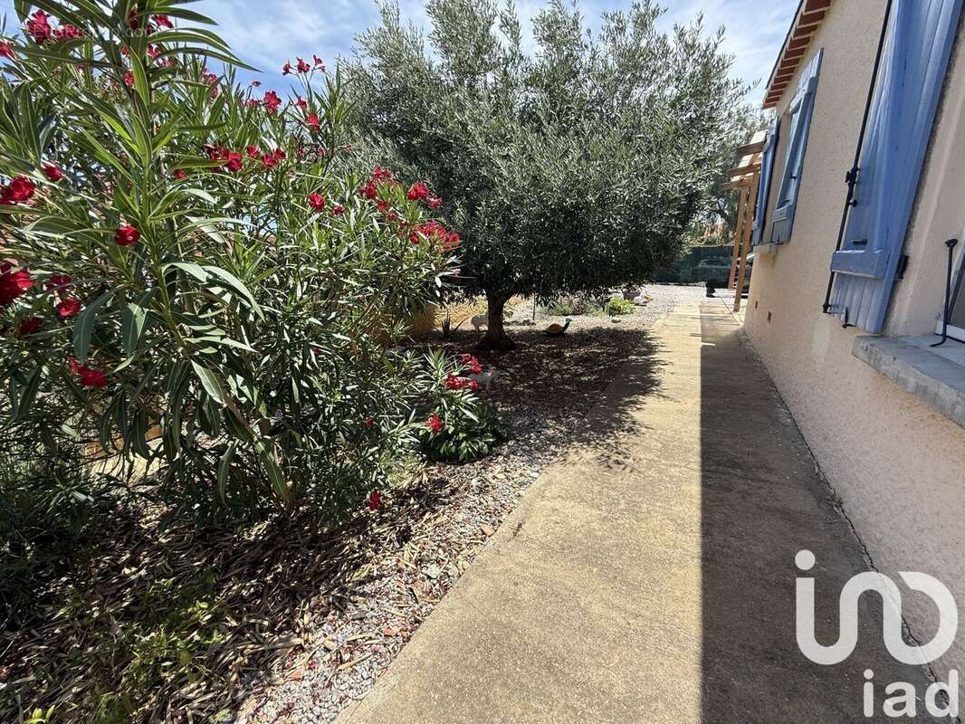 Photo 8 - Maison à SALSES-LE-CHATEAU