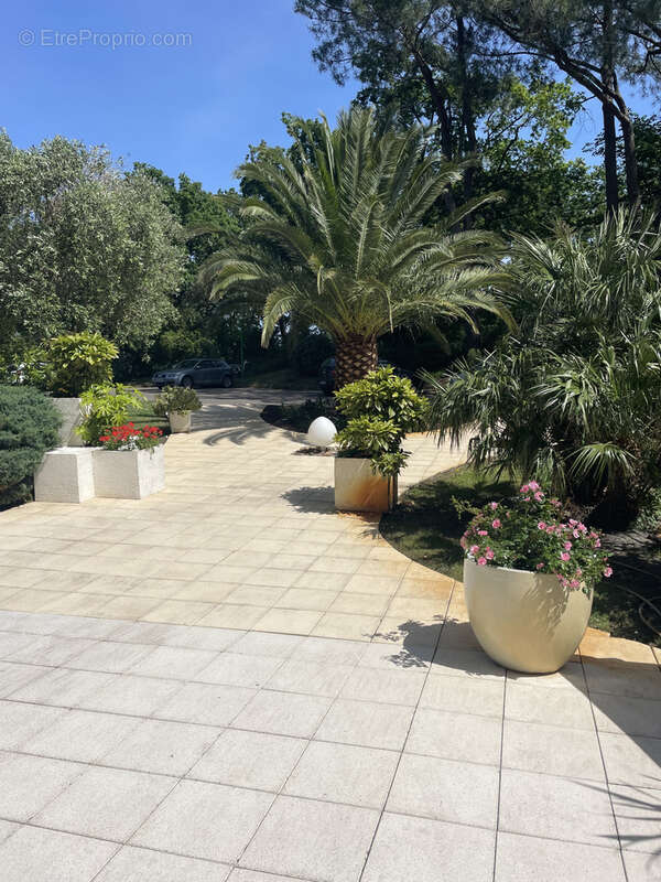 Apt - 4 pièces en étage élevé avec vue panoramique sur le Bassin d'Arcachon - photo 6