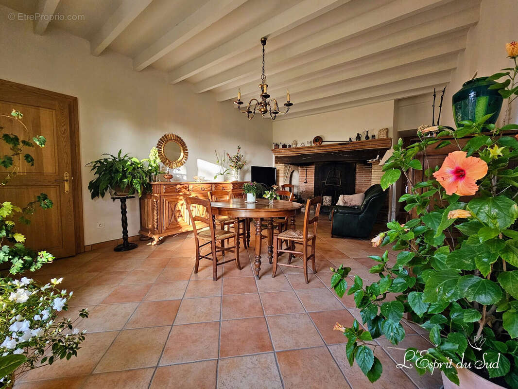 Une maison traditionnelle rénovée dans un parc  - Maison à LISLE-SUR-TARN